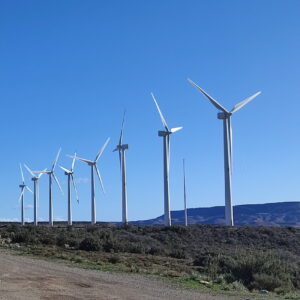 Ecotecnia 48 - 700kW, T55m